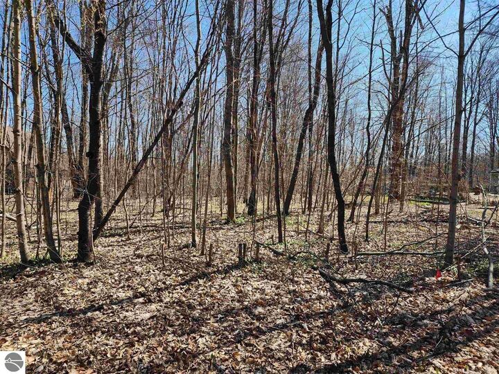 Property Photo: Vl Cliffmont Drive MI 49659