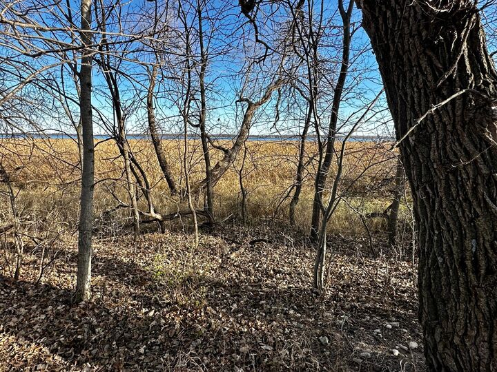 Property Photo: Tbd Hummingbird Way MN 56308