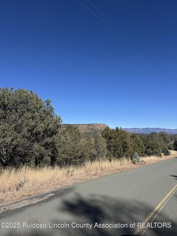 Property Photo: L310 Santiago Circle NM 88312