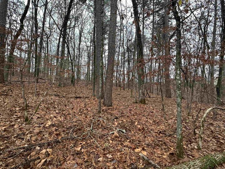 Property Photo: Tbd Dogwood Trail AR 72015