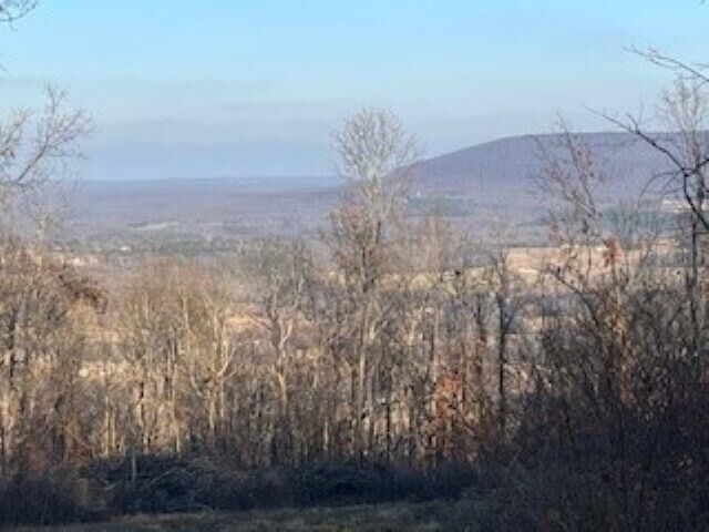 Property Photo:  000 Cooper Point  AR 72560 