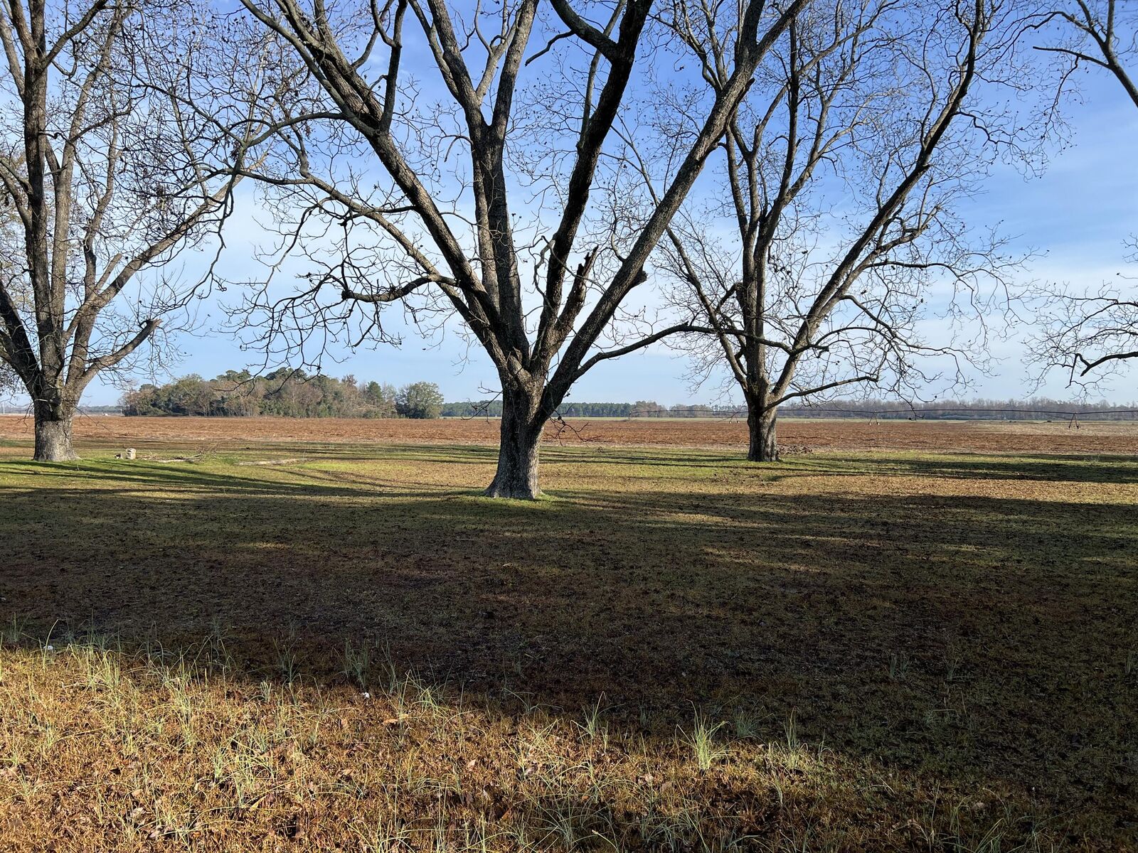Property Photo: 00 Old Hwy 6 SC 29047