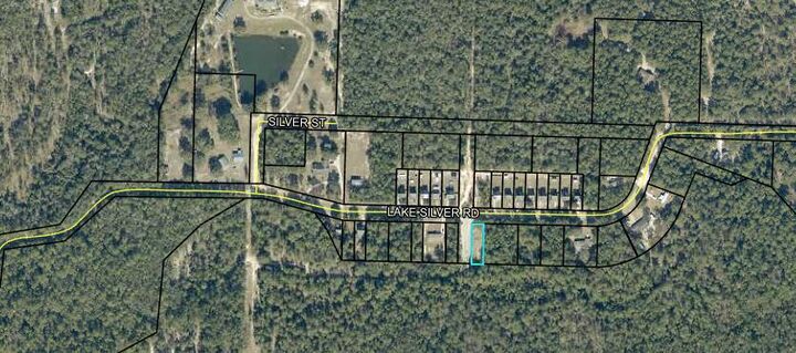 Property Photo: Lot 1 Blk Lake Silver Road FL 32536