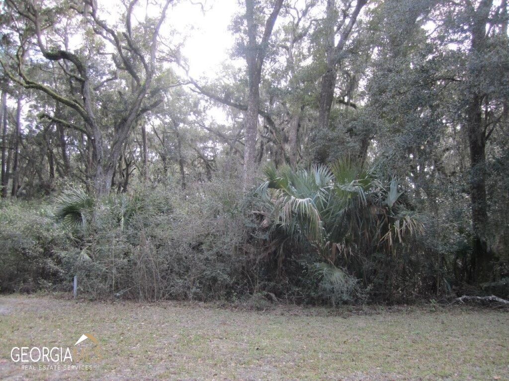 Property Photo: V/L 1005 Doubloon Court GA 31558