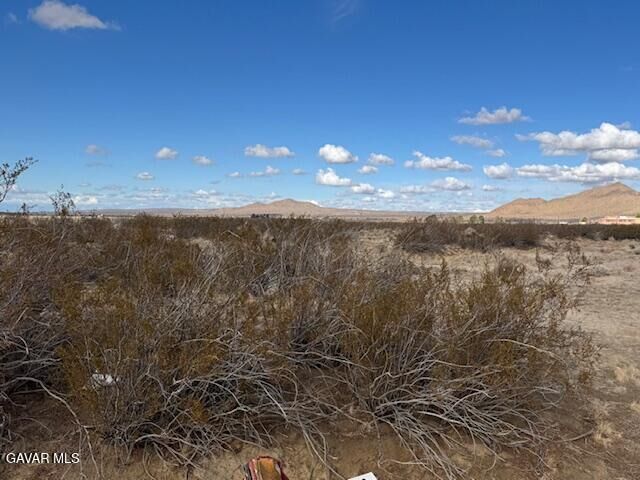 Property Photo:  Cor 166th Ste Drt  CA 93535 