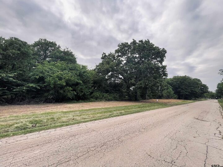 Property Photo: Lot 6 , Leach Woods East Cr 1560 TX 75410