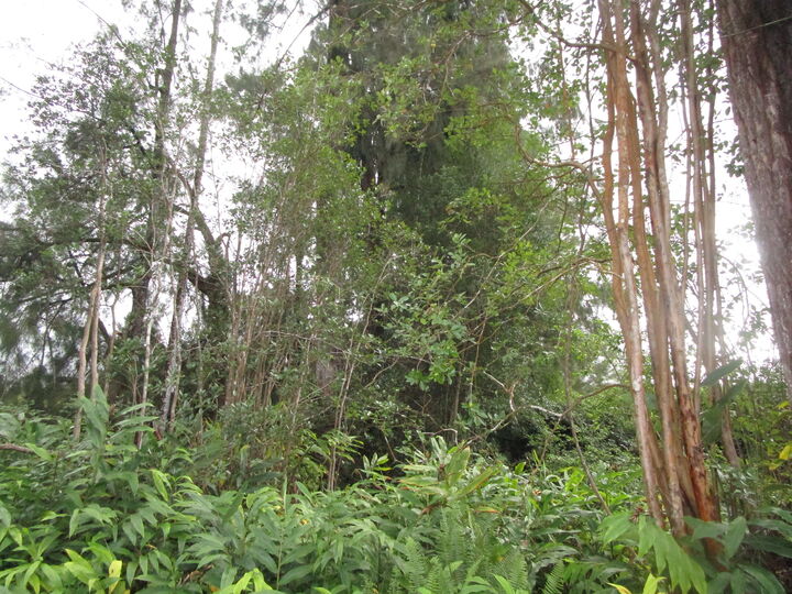 Property Photo:  18-4101 Hulu St  HI 96785 