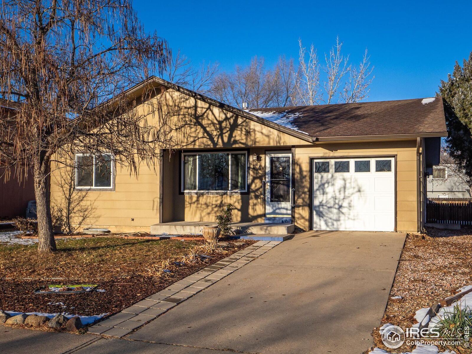 Property Photo:  14 Daisy Ct  CO 80550 