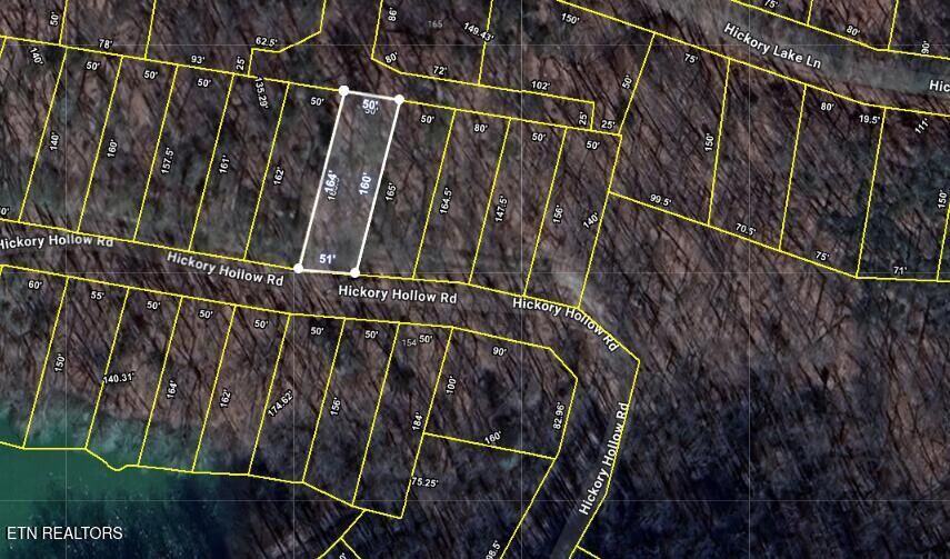 Property Photo:  0.19 Ac Hickory Hollow Rd  TN 38572 