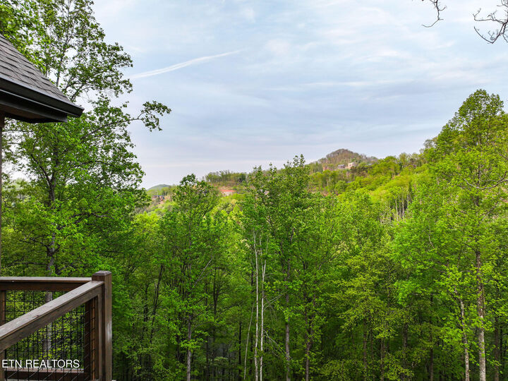 Property Photo: 2317 Grey Fox Run TN 37862
