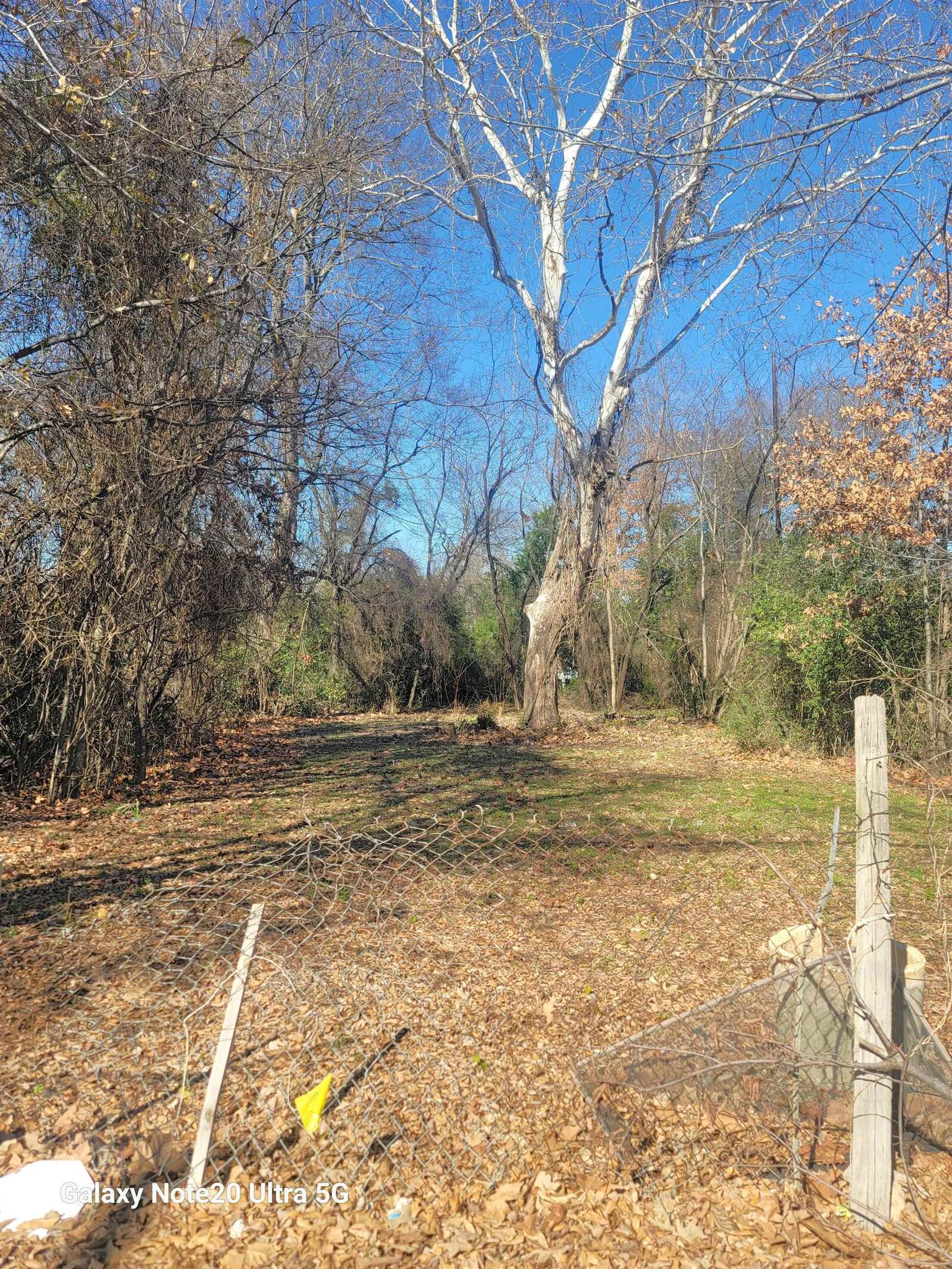 Property Photo:  209 & 218 Gates Ave  TX 75601 