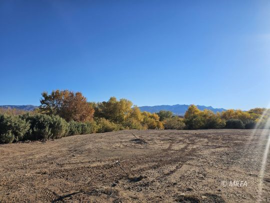 Property Photo: 330 E First South NV 89027