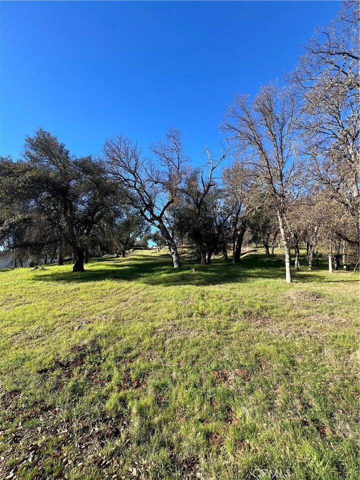 Property Photo:  20393 Powder Horn Road  CA 95467 