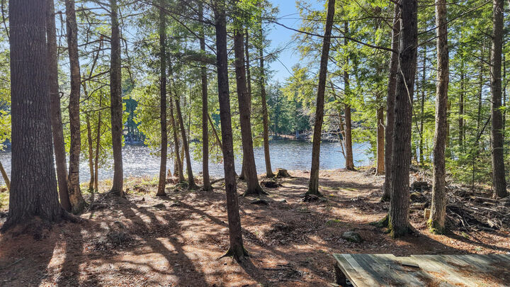 Property Photo:  124 Dead Stream Road  ME 04457 