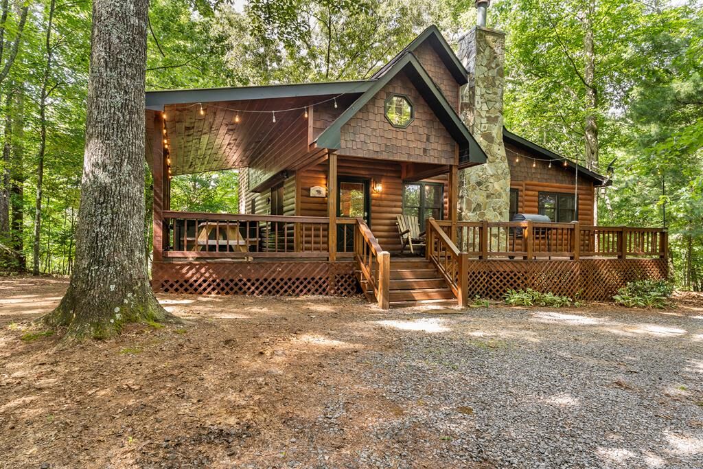 Property Photo:  162 Little Falls Drive  GA 30559 