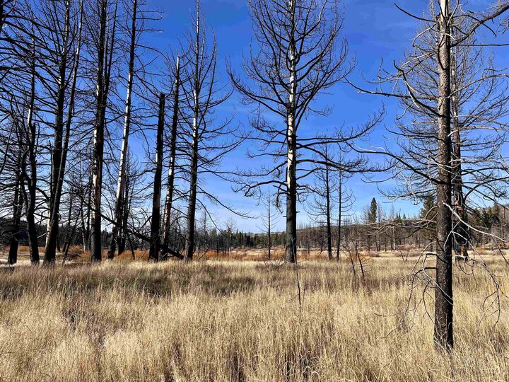 Property Photo:  10069 Dixie Valley Road  CA 96105 