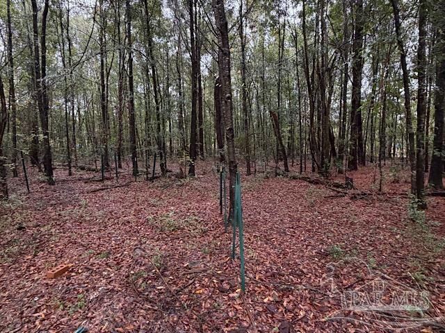 Property Photo: 3218 Archies Way FL 32571