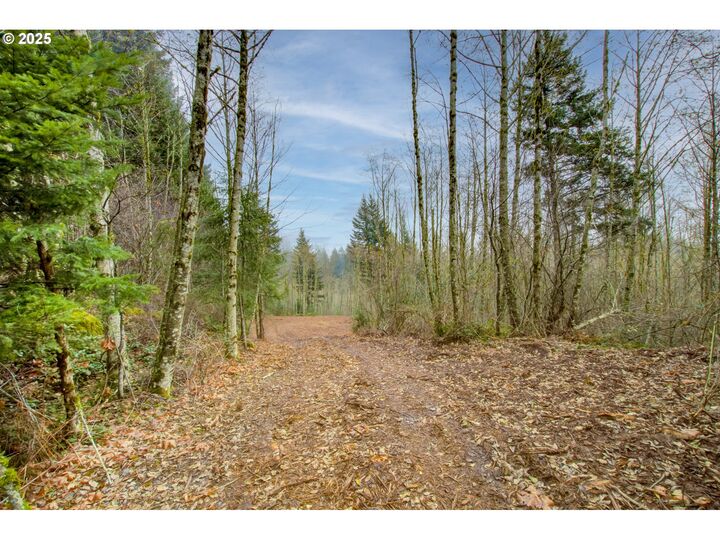 Property Photo: NE Hancock Rd WA 98607