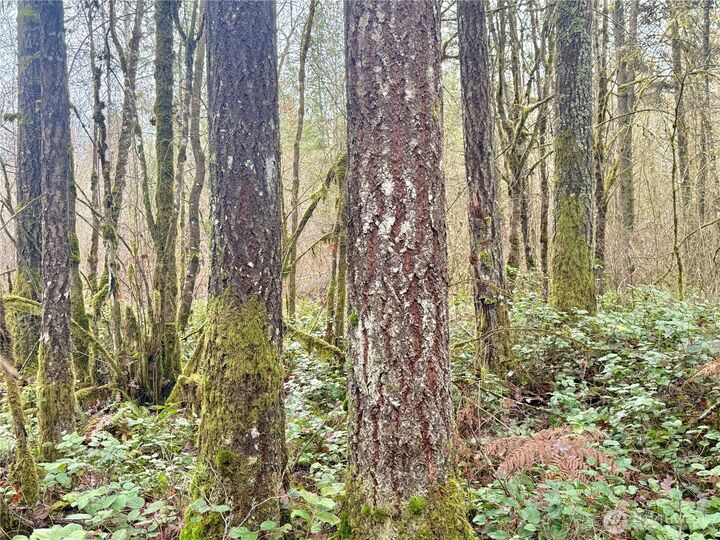 Property Photo: 298 Boone Road WA 98591