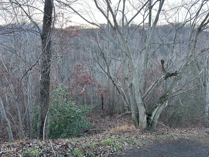 Property Photo: 1611 Mountain Dreams Way TN 37862