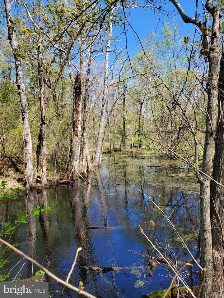 Property Photo:  Mechanicsville Road  MD 20621 