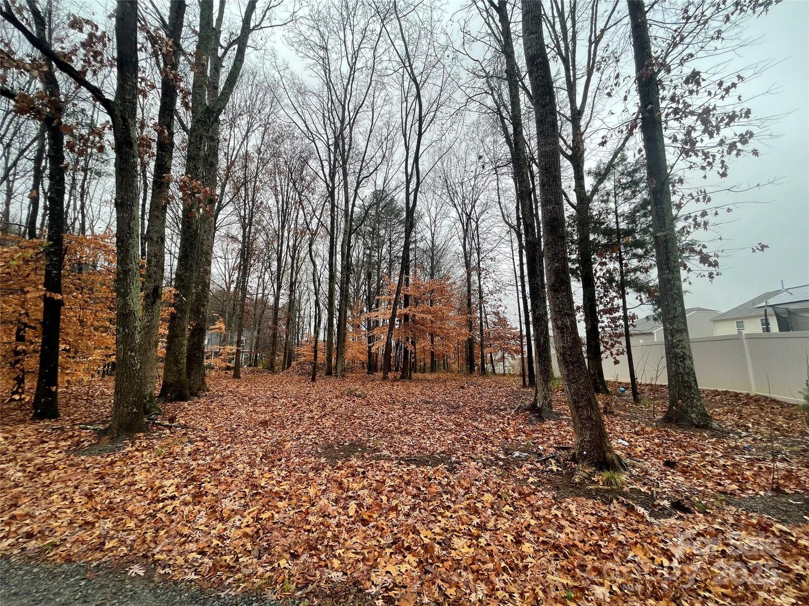 Property Photo:  8225 Teeter Drive  NC 28215 