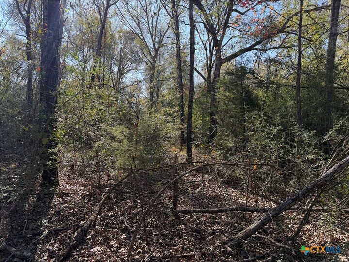 Property Photo: Tbd County Road 301 Tract 7 TX 75855