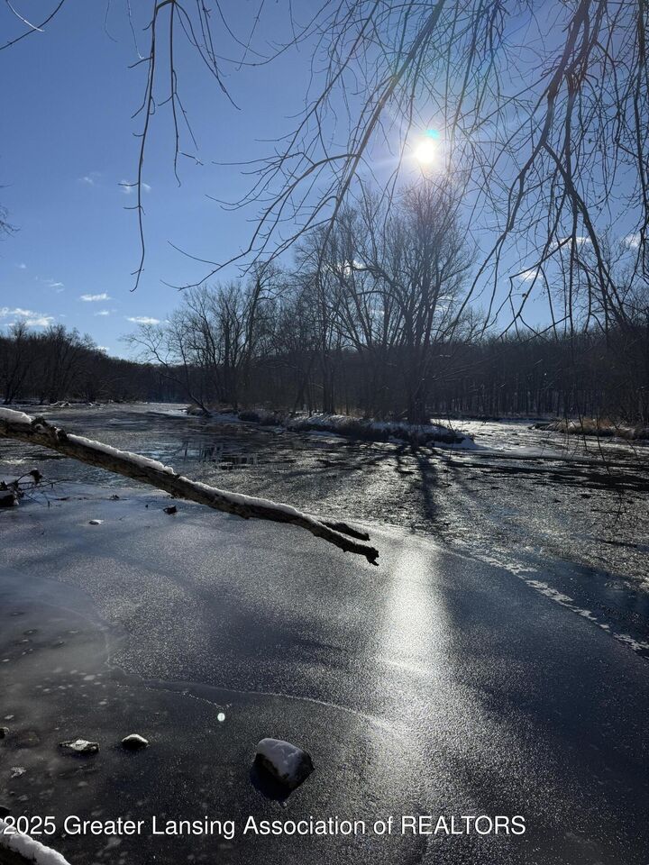 Property Photo: 0 Island MI 48875