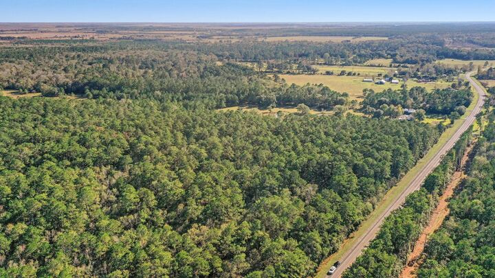 Property Photo:  Tbd Hwy 61  TX 77562 