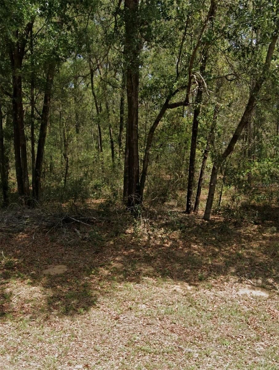Property Photo: 9231 N Sherman Drive FL 34434