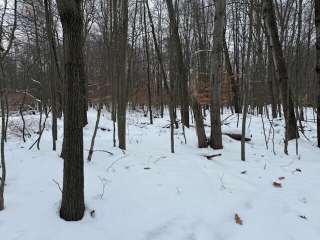 Property Photo:  12066 Red Feather Lane  MI 49346 