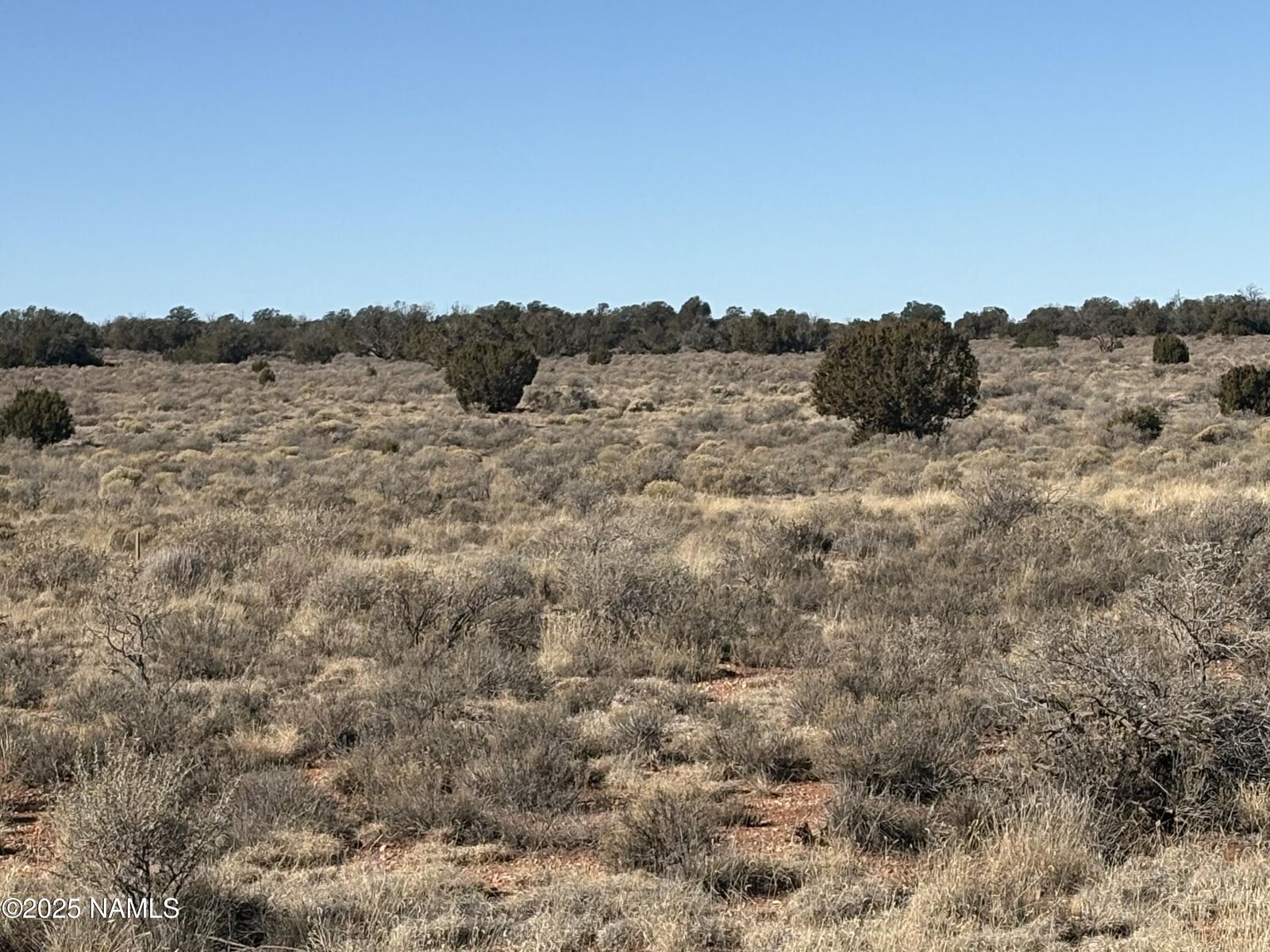 Property Photo:  1625 E Laramie Drive  AZ 86046 