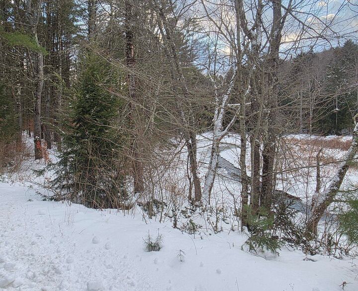 Property Photo:  0 Old Marlow Road  NH 03448 