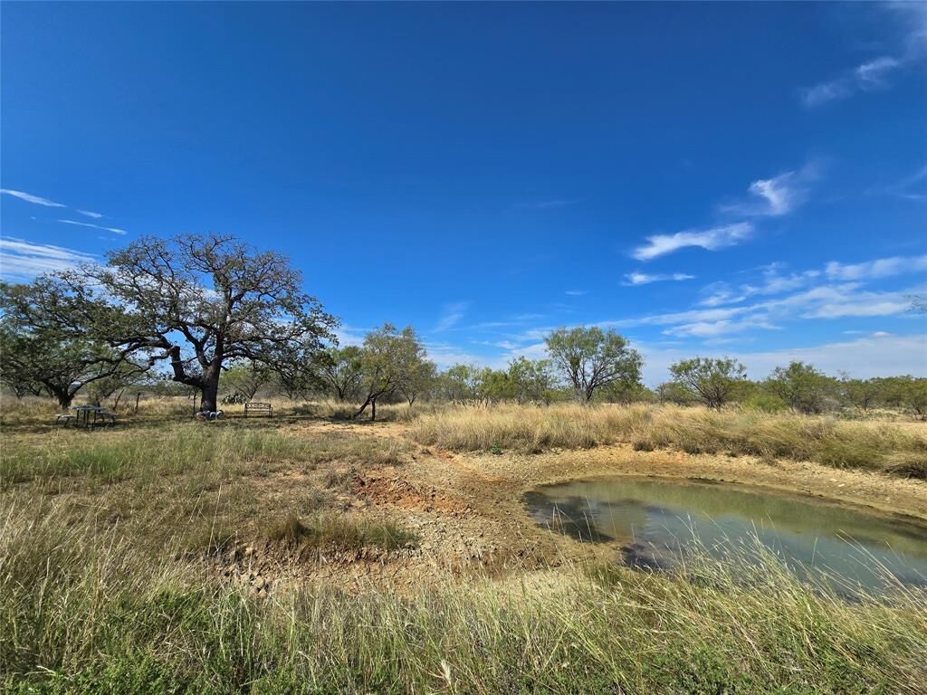 Property Photo:  5780 County Road 266  TX 76872 