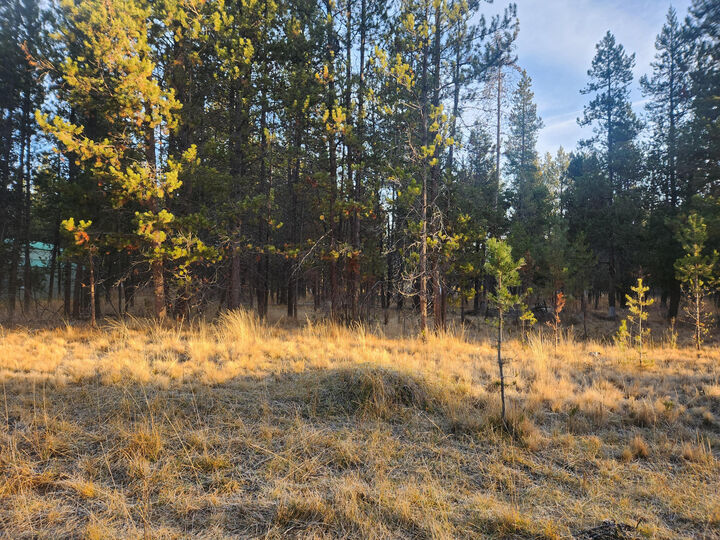 Property Photo: 16818 Brenda Drive OR 97707