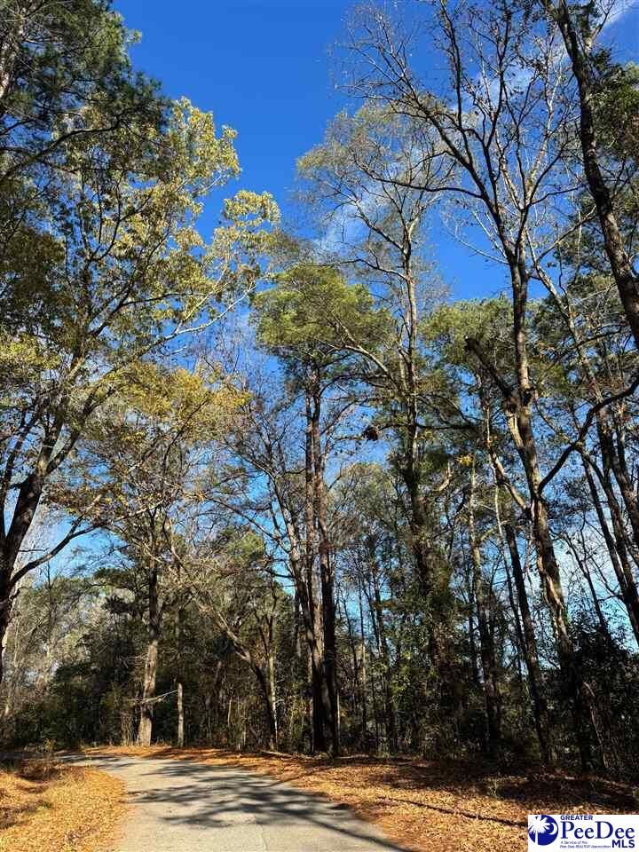 Property Photo:  Tbd Wilson Street  SC 29583 