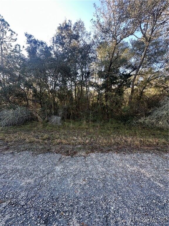 Property Photo: 3908 W Tropic Lane FL 34433