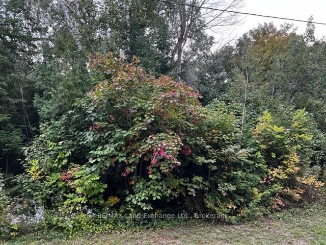 5 Shore Road — photo 1