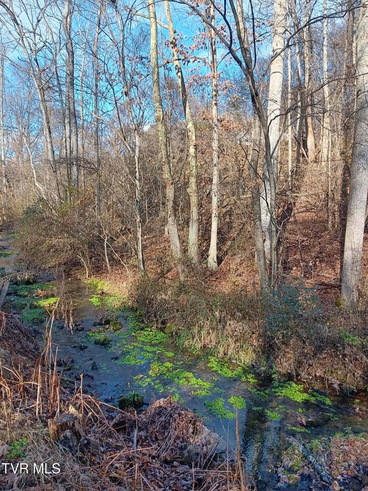 Property Photo: 000 Independence Ave TN 37645