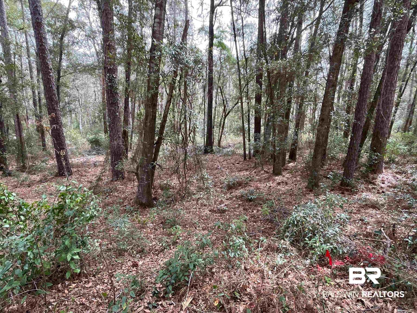 Property Photo:  0 North Circle  AL 36532 