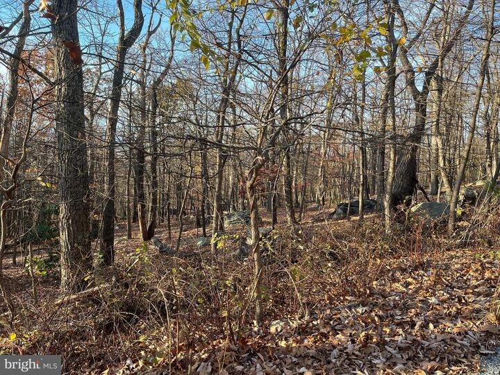 Property Photo:  Stone Ridge Road  WV 25425 