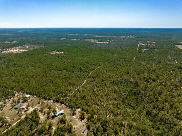 Property Photo: 110+/- Acres Hwy 20 Youngstown FL 00N/A