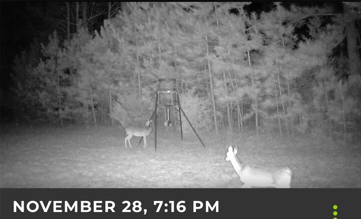 Property Photo: 5589 Pr 1580 TX 75833