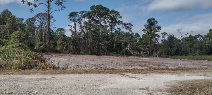 Property Photo:  1038 Redbird Street  FL 33852 