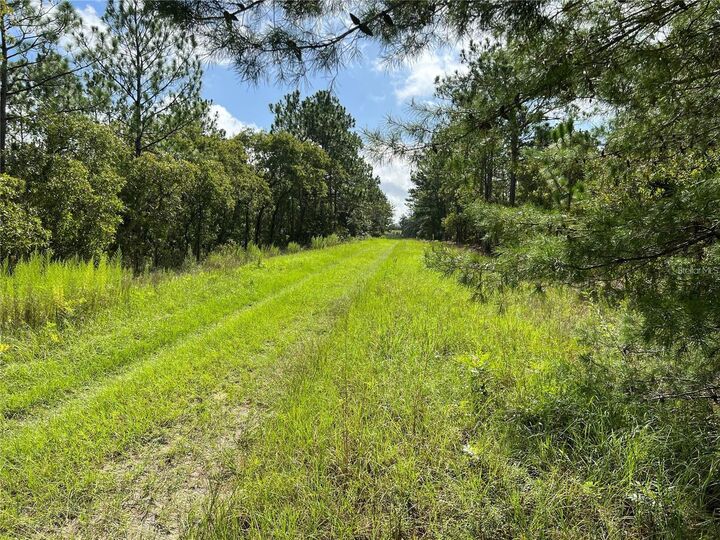 Property Photo:  Tbd SW 93rd Street  FL 34432 
