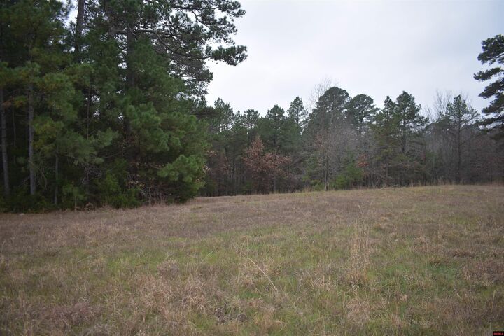 Property Photo:  010-11219-038 Swiss Alps Lane  AR 72653 