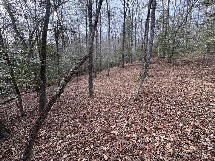 Property Photo:  0 Multiple Lots Old Johnson Rd  NC 28906 
