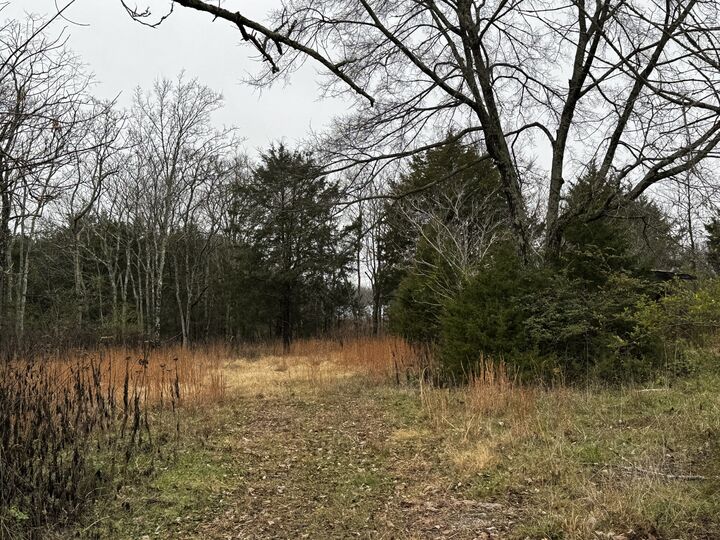 Property Photo: 3421 Joe Brown Rd TN 37129