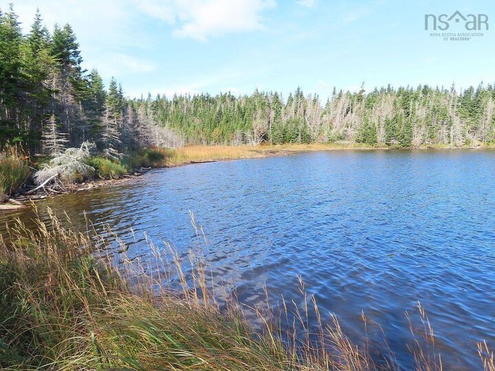 Property Photo:  Lot 31 Belfry Lake Road  NS B1K 2E8 