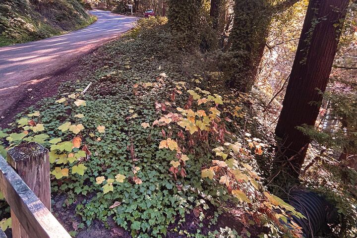 Property Photo: 00 Riverside Road CA 95007